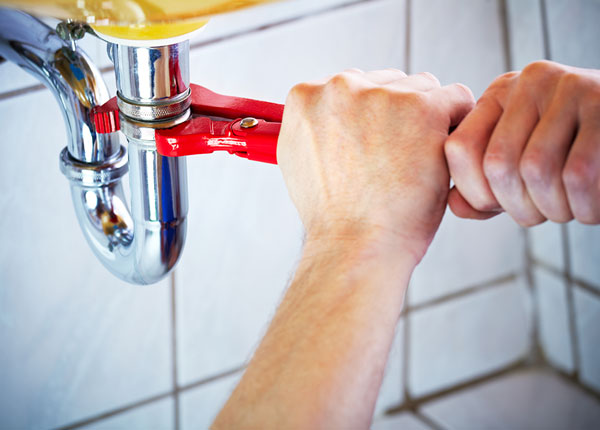 About Holstein Plumbers